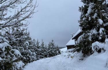 Tam Gdzie Rosną Poziomki - Foto 46