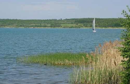 Feriendomizil am Störmthaler See, Lagovida, Leipziger Neuseenland, Großpösna, Privatstrand - Foto 4