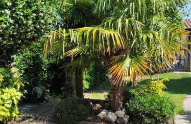 PERLA DEL DELTA - Foto 6