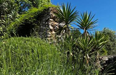 Apartments Mandic - Doma - Foto 14