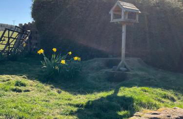 Heron Lodge, edge of Mabie Forest Dumfries - Photo 39