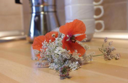 Apartamentos La Picota - Foto 19