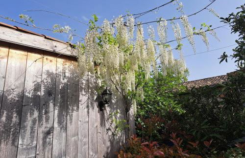 Maison au calme - Photo 23