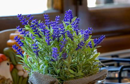 Il Cottage di Patrizia - Foto 23