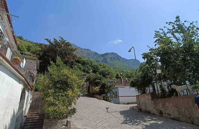 A Refuge Between Green And Blue - Foto 19