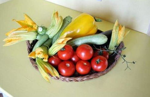 Agriturismo Paneolio - Foto 21