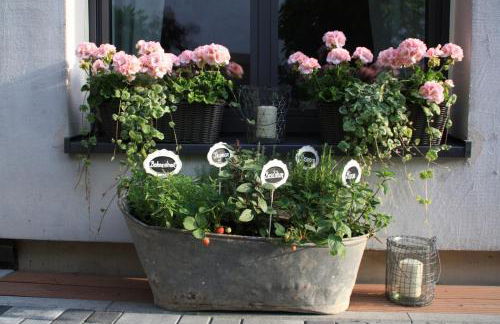 Gemütliche Ferienwohnung in Edesheim an der Weinstraße - Foto 2