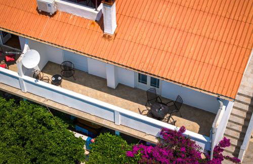 Apartmani Višnja - Photo 76