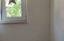 Apartman Dane - Foto 23