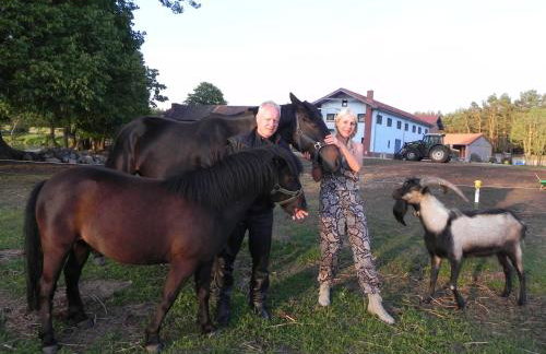 Gutshof Dragefeld - Foto 41