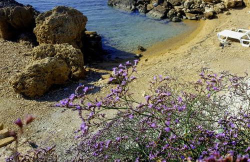 Residence "Il Faro" - Foto 25