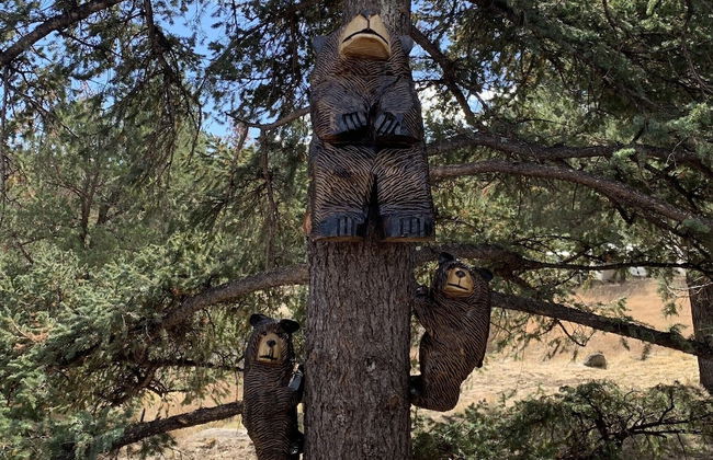 Blue Spruce Retreat by Ruidoso Vacation Rentals - Foto 35