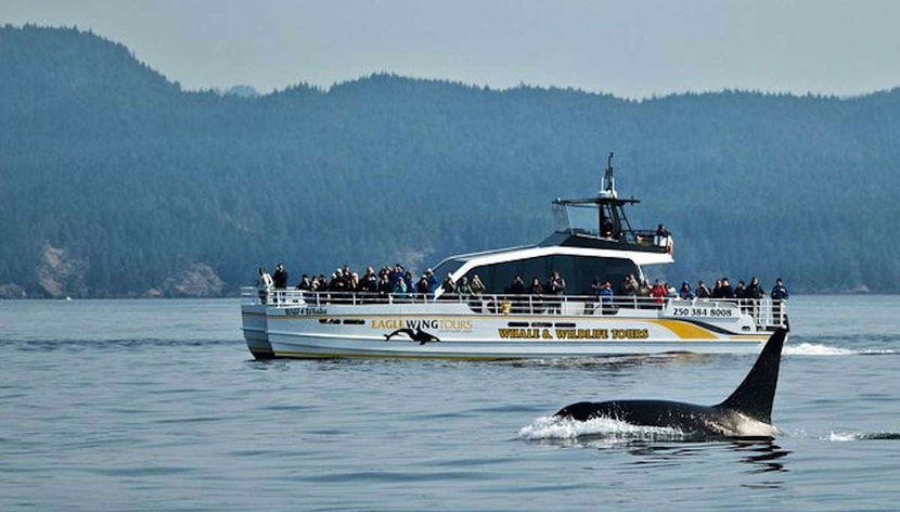 Strait of Juan de Fuca Boat Trip - Foto 3