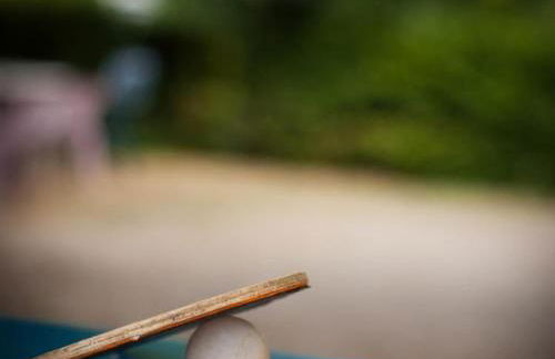 Au Clos Paillé La Roche Posay - Foto 57