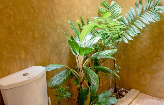 Villa Shade - Photo 36