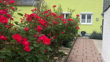 Fewo Linda 2 - Foto 3