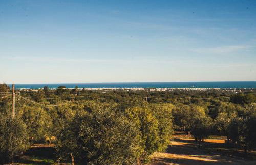 Masseria Santa Teresa - Foto 14