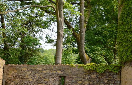 Cottage in Wierre-Effroy near Forest - Foto 25