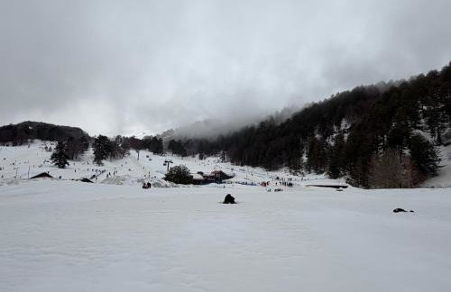 Damar - Foto 13