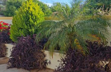 La casa de Ioanna - Foto 45