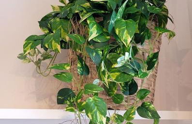 Blend Coliving One - 3a - Foto 7