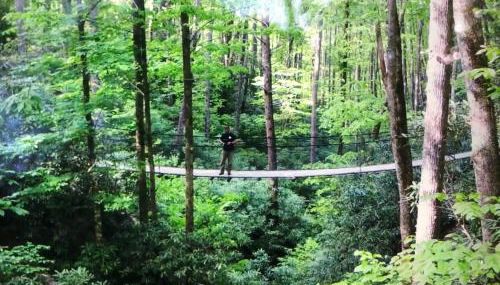 Hideaway at Harvest Moon - Foto 4