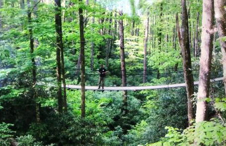 Hideaway at Harvest Moon - Foto 4