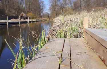 Liljas Haus im Spreewald - Foto 38