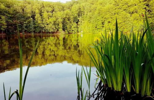 Charming Holiday Home With Natural Garden in Kaltennordheim-thuringia - Foto 4