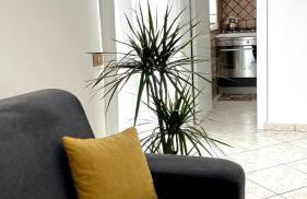 La Casetta sul Golfo - Foto 23