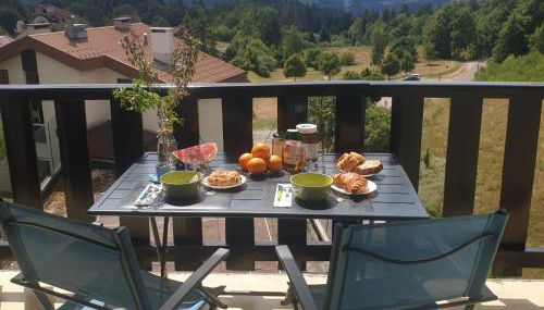 Confortable Studio de montagne avec loggia et jolie vue Les Rousses "Le Flocon des Cimes" Station de ski familiale Jura 39 - Foto 4