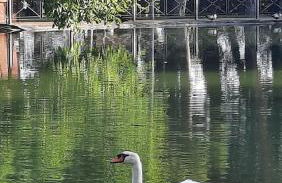 Aromas del Jiloca, la Trufa Negra - Foto 41