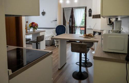 La Casa degli Sbilfs - Wi-Fi, Netflix e Garage Box , a 2 minuti dal Monte Zoncolan - Foto 9