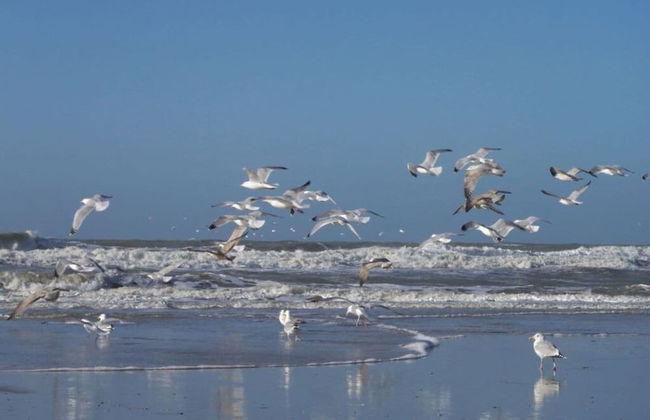 "sina" Comfortable Holiday Residence - Photo 21