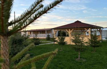 Domki Nad Sanem Bachórzec 6a - Foto 22