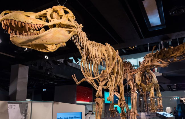 Clocktower Apartment Hotel - Foto 52