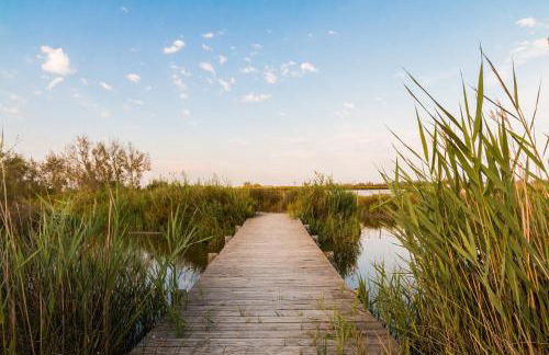 T2 Montpellier centre historique - Photo 10