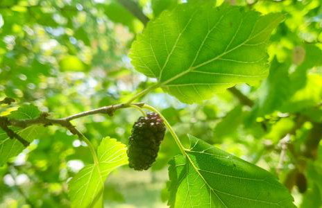 Apartment Murva - Foto 6