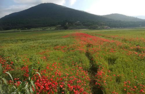 Appartamento al Castello - Photo 8