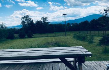 Domek na Kamieńcu - Foto 22