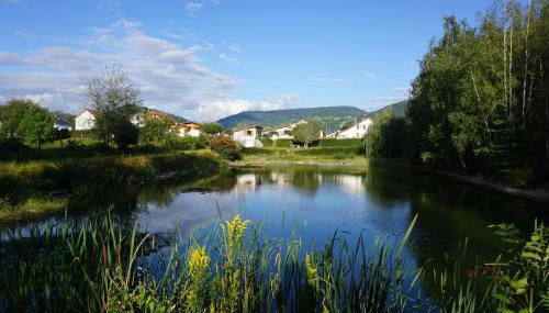 Le gîte et l'étang de pêche - Foto 2