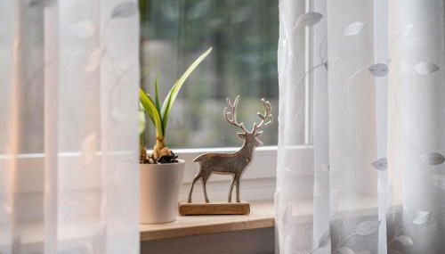 Ferienwohnung Gaby Lehmann - Foto 3