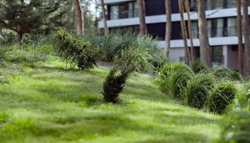 Seaside Shellter Rogowo - Foto 2, Garden, Garden view