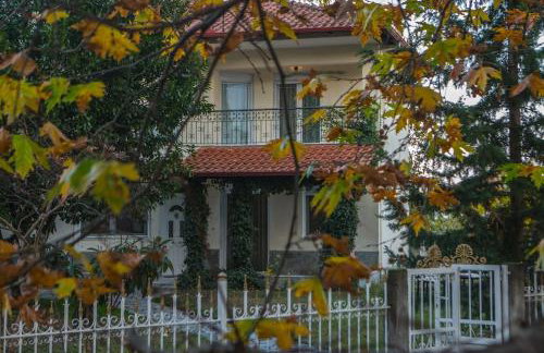 Woods cottage Loutra Pozar Aridaia - Photo 25