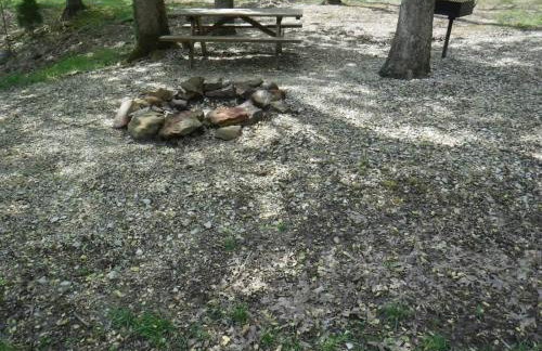 A-Frame Cabin #3 on Patoka Lake in Southern Indiana - Foto 7