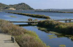 Sur la Terrasse - Foto 29