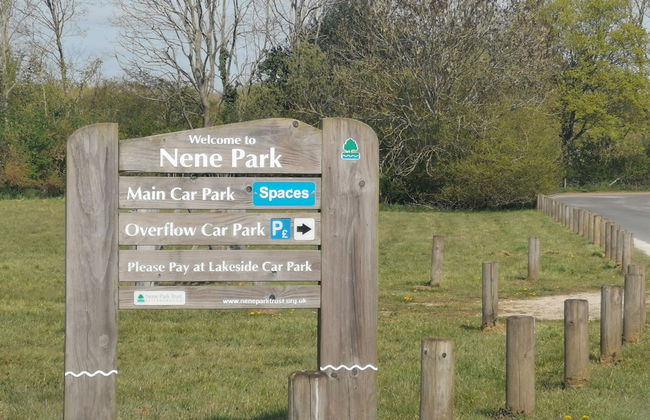 Upper Green View - Foto 22