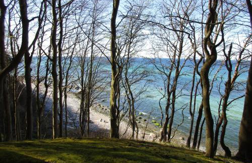 FeWo-Solveig - Foto 19