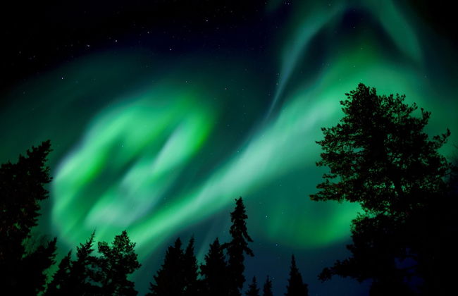 Villa Happy Fox - Foto 58