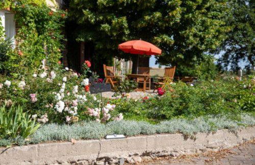 Landurlaub auf dem Mellenhof - Foto 27